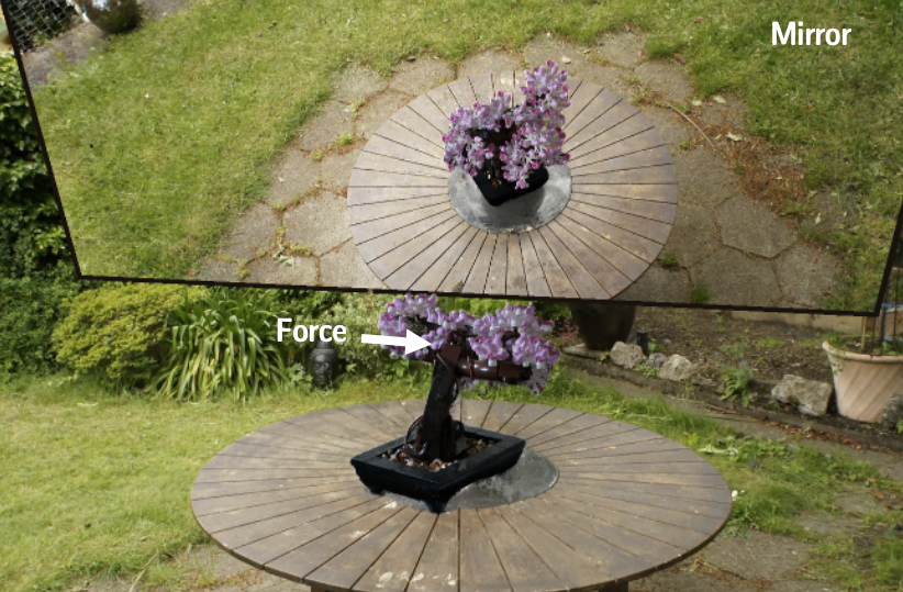 Bonsai garden setup: a force applied to the bonsai, with the mirror plane above showing the reflected view